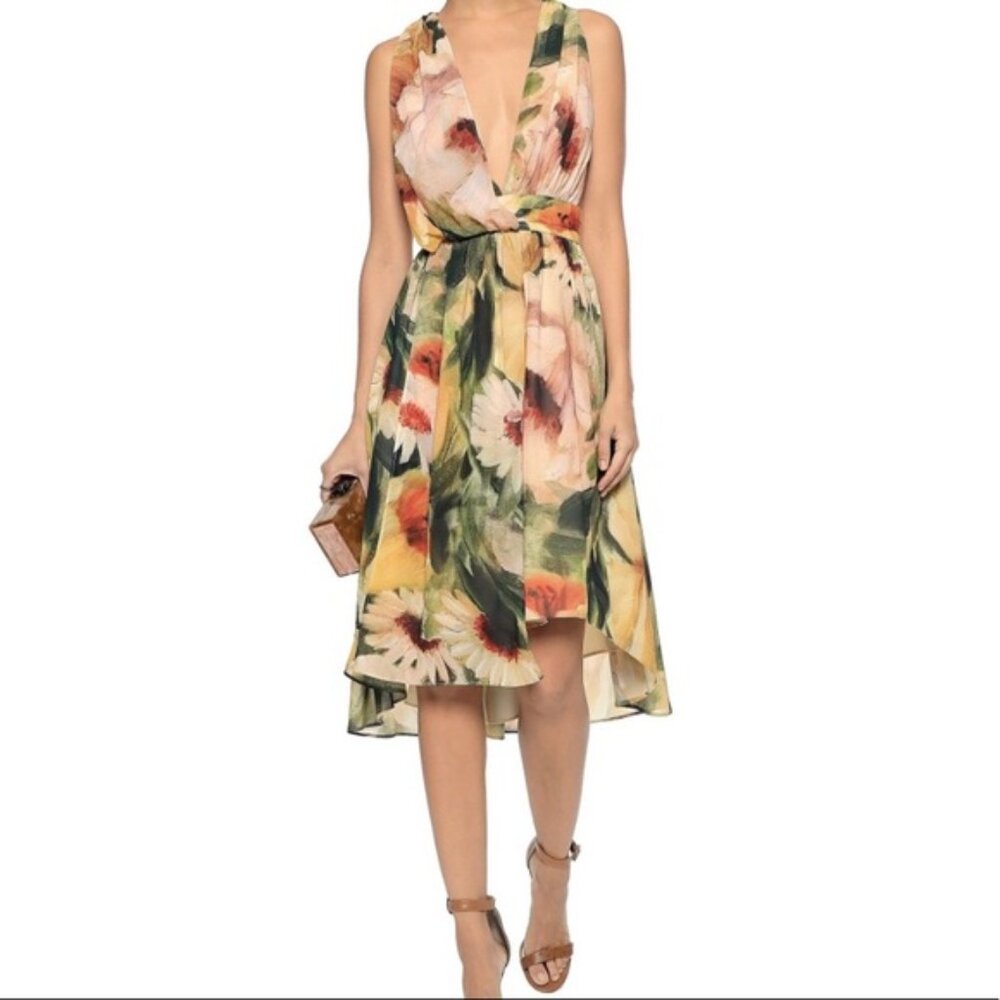 Haute Hippies Plunge Sunflower V Neck Draped Midi A Line Chiffon Crepe Dress - Picture 2 of 12
